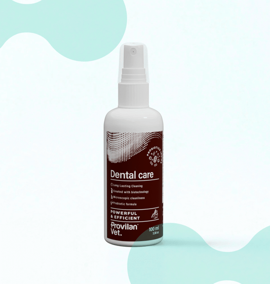 Dental Care