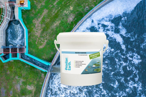 Water Purifier